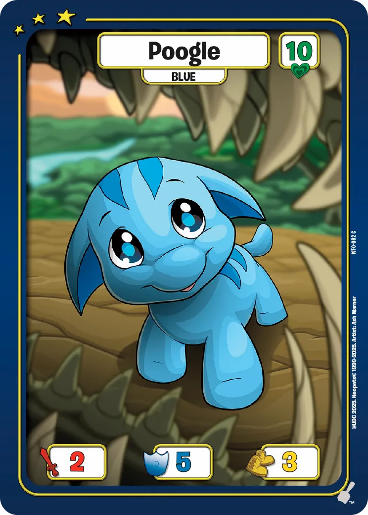 Poogle, WFO-062 C
